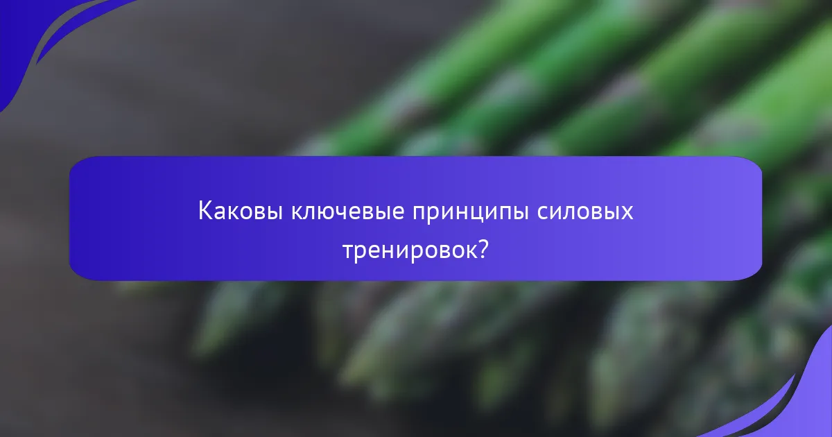 Каковы ключевые принципы силовых тренировок?
